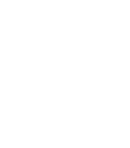 regional-white-iconpng