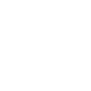 trophy-white-icon